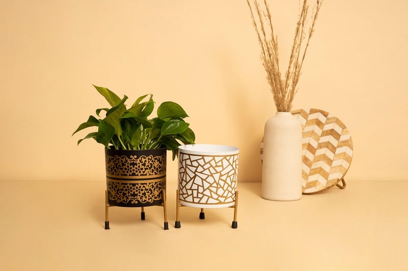 Shoe Organizer Plant Holder