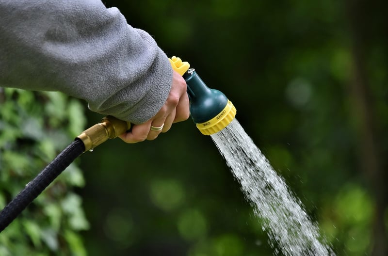 Watering a plant
